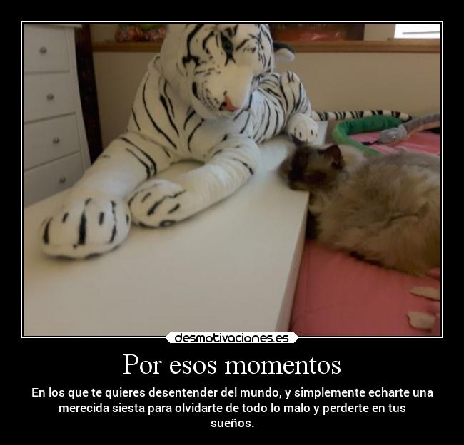 Por esos momentos - En los que te quieres desentender del mundo, y simplemente echarte una
merecida siesta para olvidarte de todo lo malo y perderte en tus
sueños.