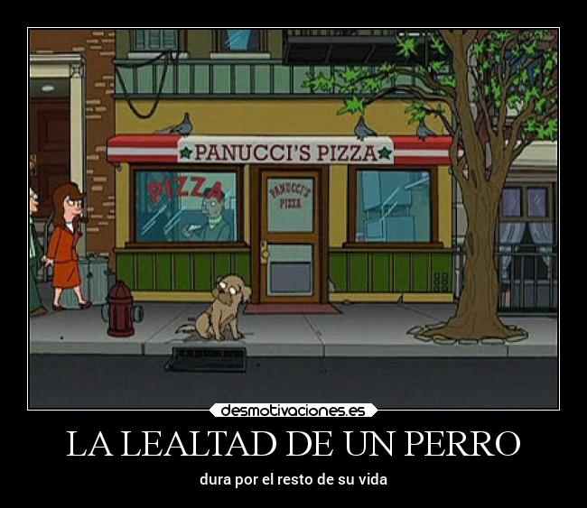 LA LEALTAD DE UN PERRO - dura por el resto de su vida