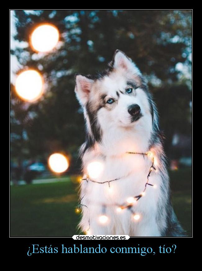 ¿Estás hablando conmigo, tío? - 