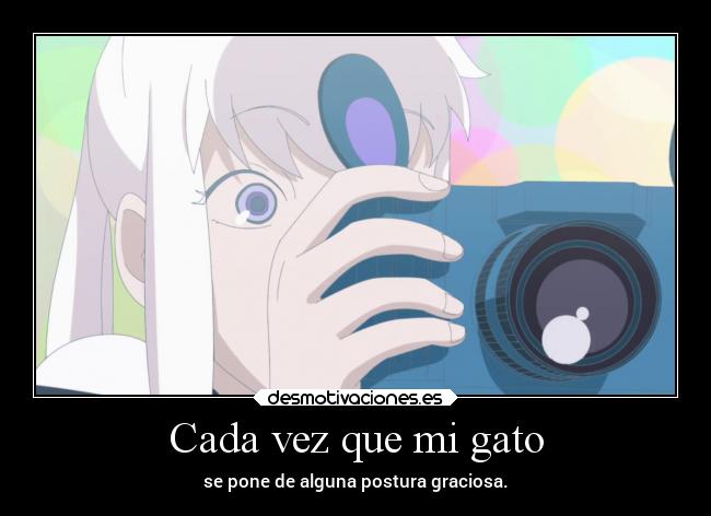 carteles anime humor risa felicidad gato cosasquepasan raptorhunters harukaze erosekai 18if desmotivaciones