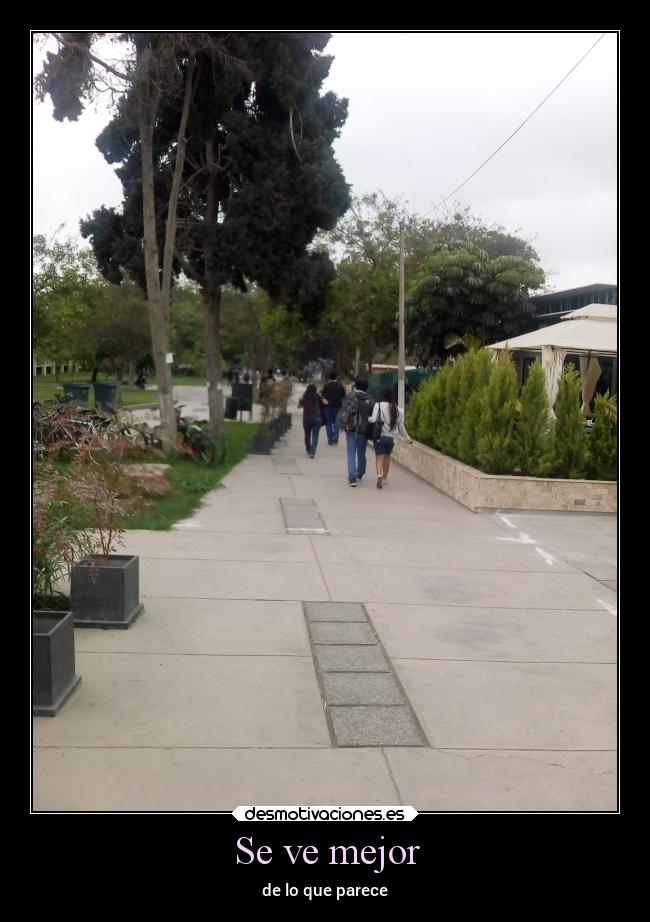 carteles confianza desmotivaciones