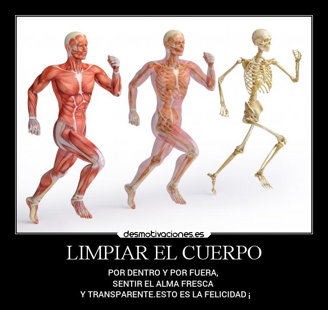 carteles debilidad cuerpo humano desmotivaciones