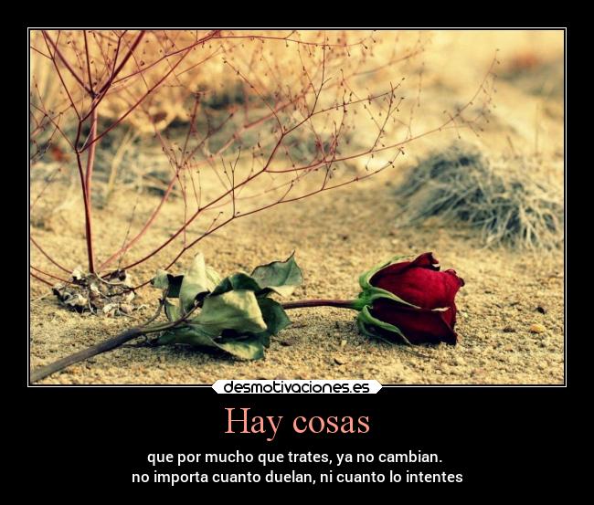 Hay cosas -