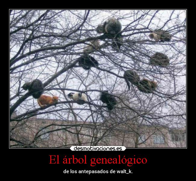 El árbol genealógico - de los antepasados de walt_k.