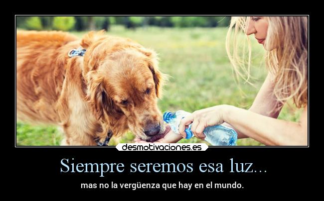 Siempre seremos esa luz... - 