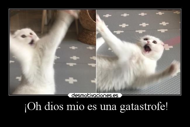 carteles dios abrazos aleinad2002 desmotivaciones