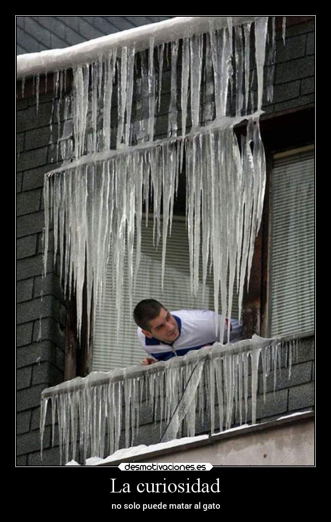 La curiosidad - no solo puede matar al gato