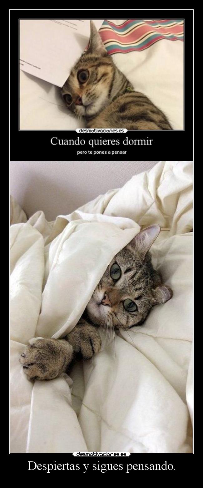 Despiertas y sigues pensando. - 