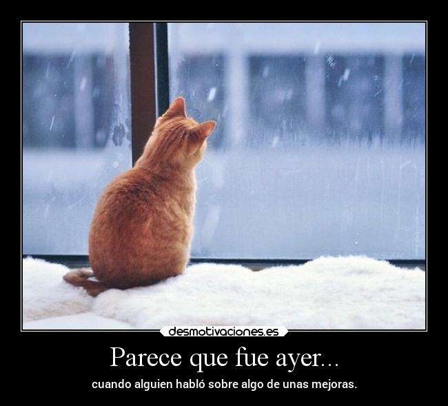 Parece que fue ayer... - cuando alguien habló sobre algo de unas mejoras.