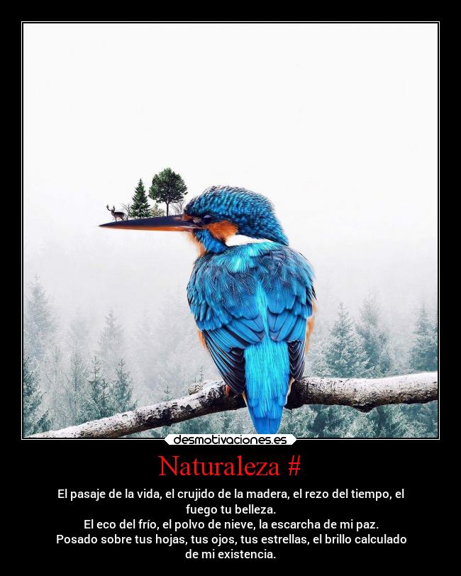 Naturaleza # - El pasaje de la vida, el crujido de la madera, el rezo del tiempo, el
fuego tu belleza.
El eco del frío, el polvo de nieve, la escarcha de mi paz.
Posado sobre tus hojas, tus ojos, tus estrellas, el brillo calculado
de mi existencia.