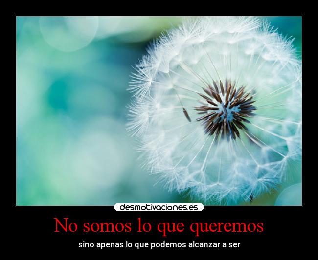 No somos lo que queremos - sino apenas lo que podemos alcanzar a ser