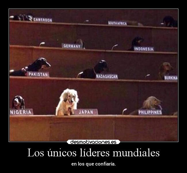 Los únicos líderes mundiales - en los que confiaría.