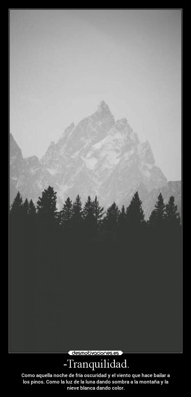 -Tranquilidad. - Como aquella noche de fría oscuridad y el viento que hace bailar a
los pinos. Como la luz de la luna dando sombra a la montaña y la
nieve blanca dando color.