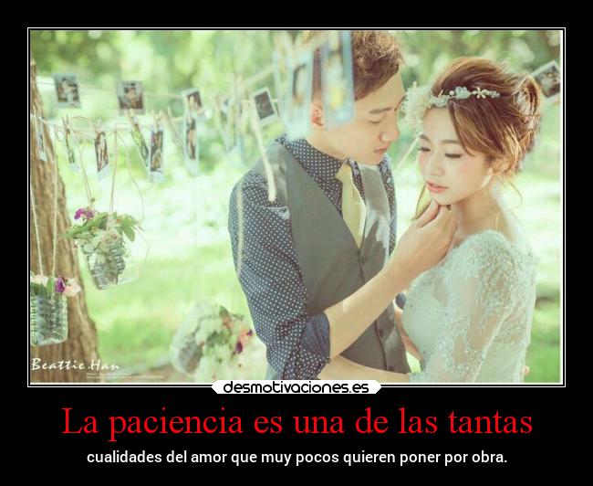 La paciencia es una de las tantas - 