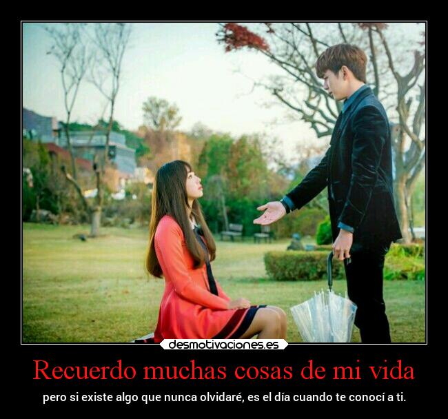 carteles vida vida amor aishiterumago fairymago projectd desmotivaciones