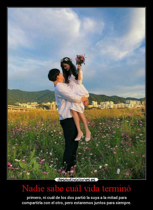 carteles vida vida amor aishiterumago fairymago locurasmias projectd desmotivaciones