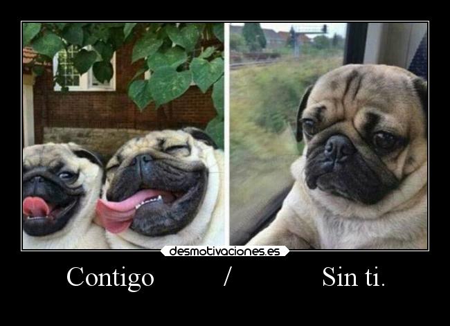 Contigo          /             Sin ti. - 