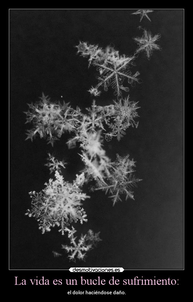 La vida es un bucle de sufrimiento: - el dolor haciéndose daño.