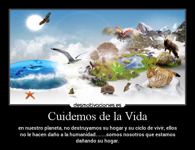 carteles vida enemigo esperanza desmotivaciones