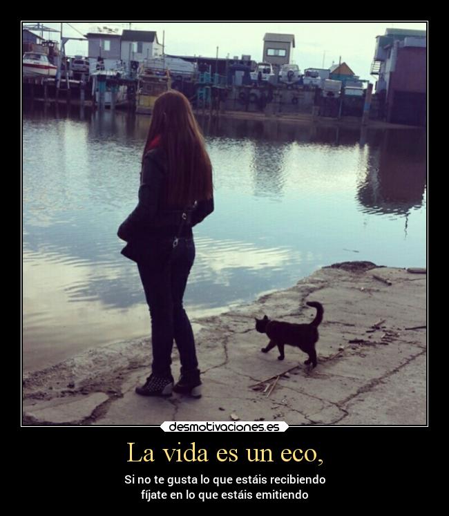 La vida es un eco, - 