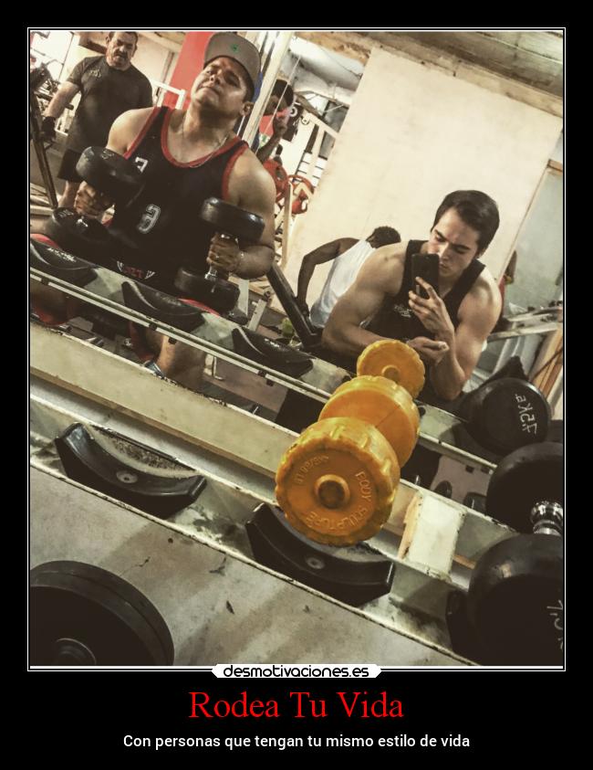 carteles vida vida desmotivaciones