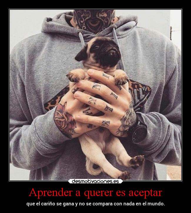 carteles vida llllllllllllllllll deadvil desmotivaciones