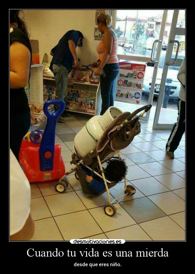 carteles vida vida mierda desmotivaciones