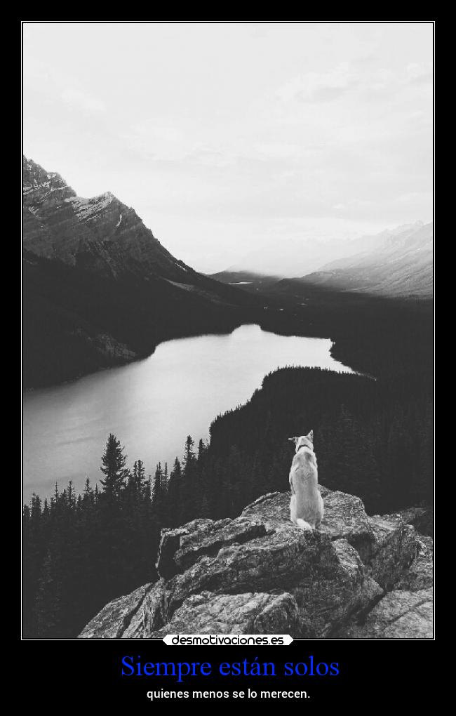 Siempre están solos -