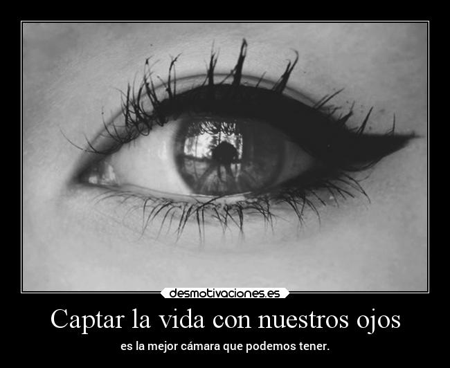 Captar la vida con nuestros ojos - 