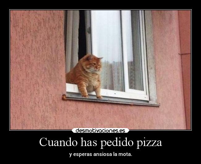 Cuando has pedido pizza -