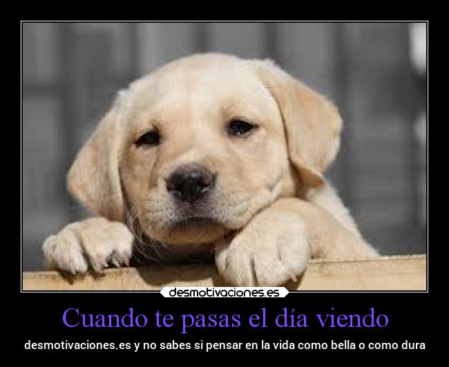 Cuando te pasas el día viendo -