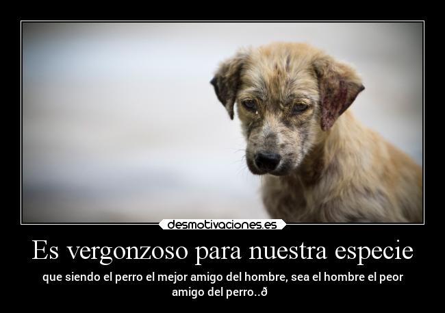 Es vergonzoso para nuestra especie - que siendo el perro el mejor amigo del hombre, sea el hombre el peor
amigo del perro..🙁