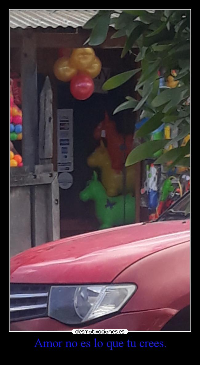 carteles amor alegria animales celos caballosdegoma yitoxuchihayitoxuchihayitoxuchihayitoxuchihayitox desmotivaciones