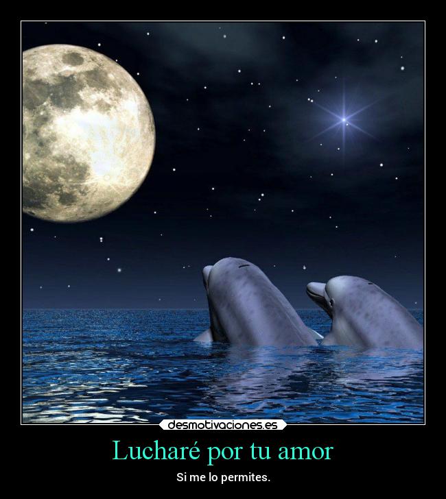 Lucharé por tu amor -