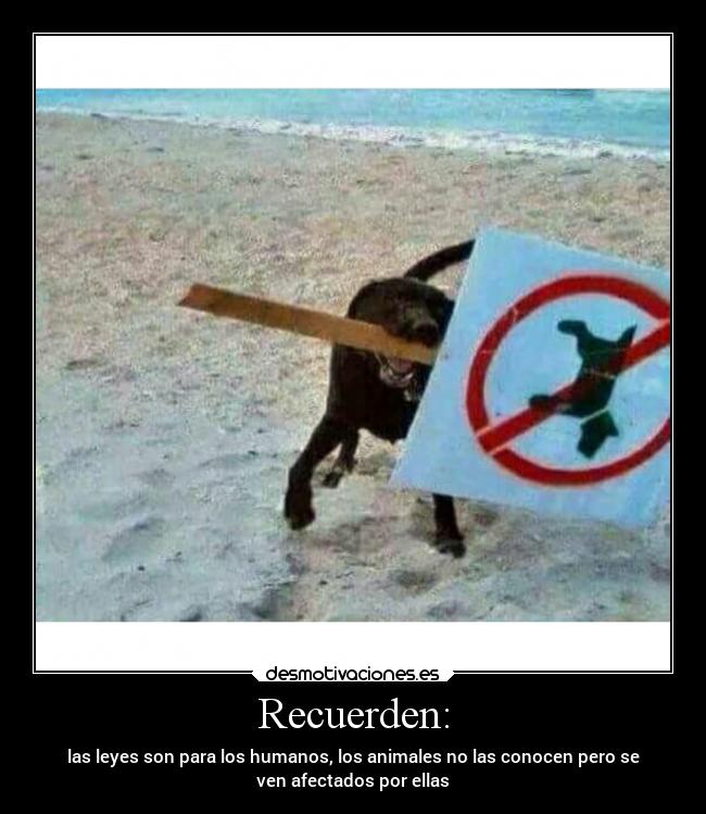 Recuerden: - las leyes son para los humanos, los animales no las conocen pero se
ven afectados por ellas