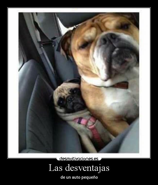 Las desventajas - de un auto pequeño