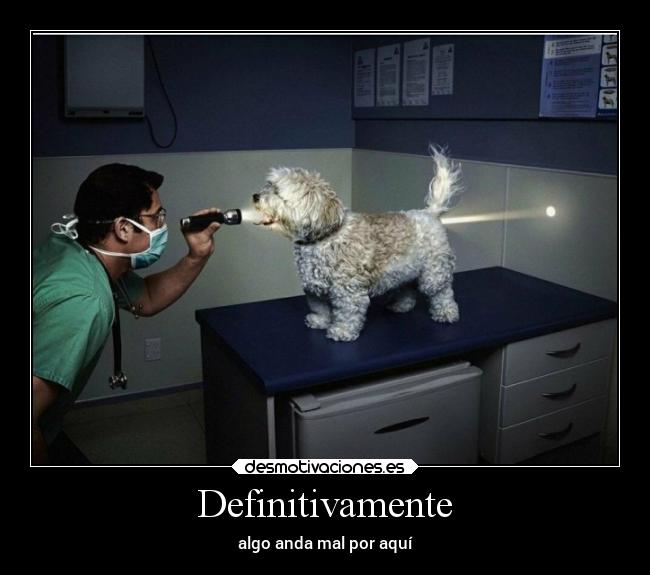 carteles animales problemas memes luz medicina desmotivaciones