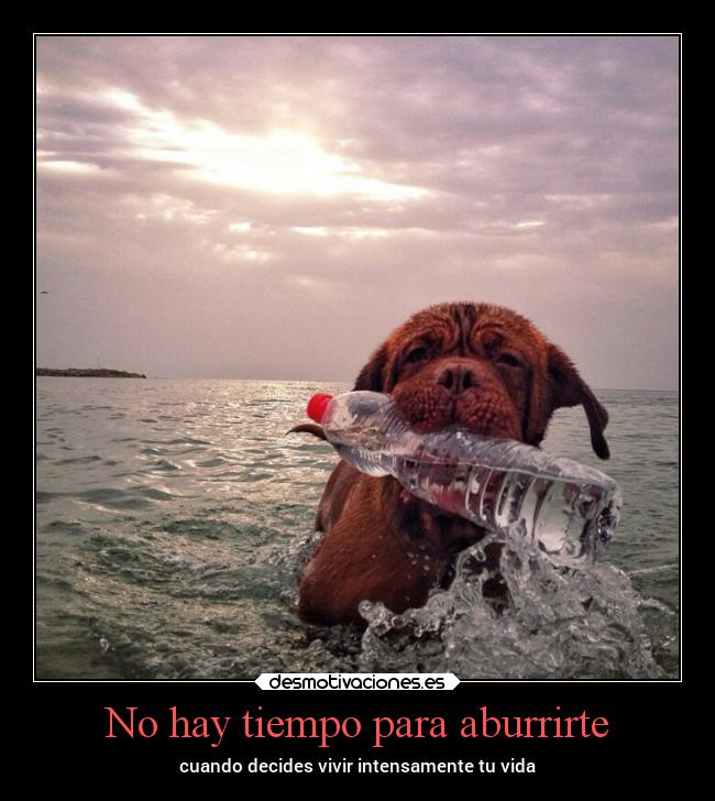 No hay tiempo para aburrirte -