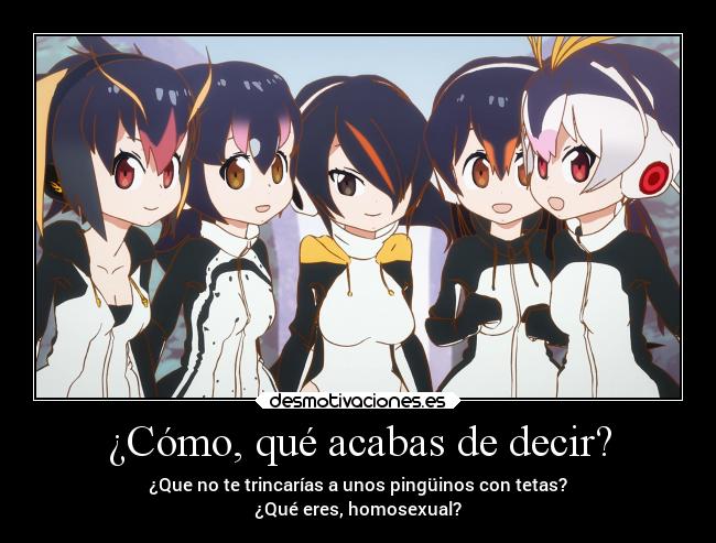 ¿Cómo, qué acabas de decir? - ¿Que no te trincarías a unos pingüinos con tetas?
¿Qué eres, homosexual?