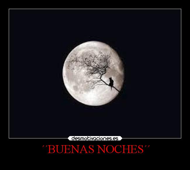 carteles anime noches mariodayan marionobros locosdeamor laalianzarebelde mdsm ever desmo desmotivaciones