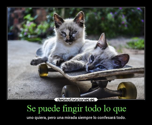 Se puede fingir todo lo que -