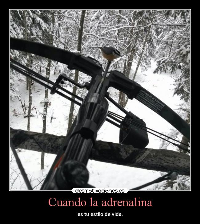 Cuando la adrenalina - es tu estilo de vida.