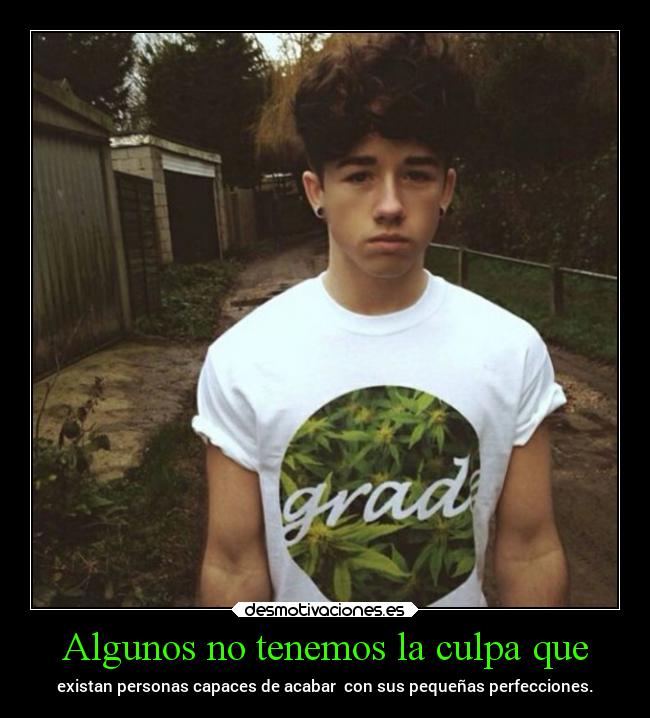 Algunos no tenemos la culpa que - existan personas capaces de acabar con sus pequeñas perfecciones.