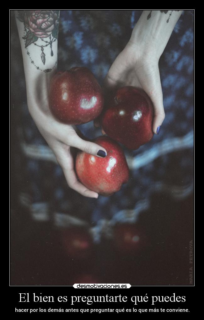 carteles desmotivaciones soyunidiotatm projectd manada32 desmotivaciones