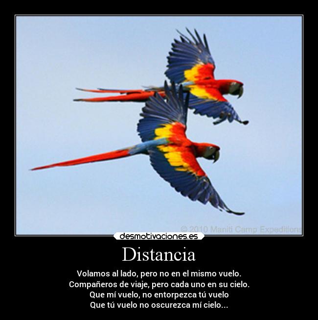 Distancia - Volamos al lado, pero no en el mismo vuelo.
Compañeros de viaje, pero cada uno en su cielo.
Que mí vuelo, no entorpezca tú vuelo
Que tú vuelo no oscurezca mí cielo...
