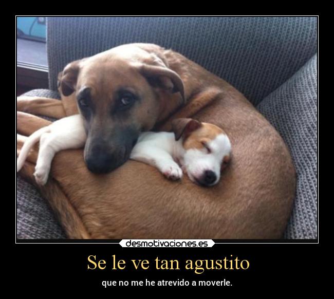 carteles dormir desmotivaciones