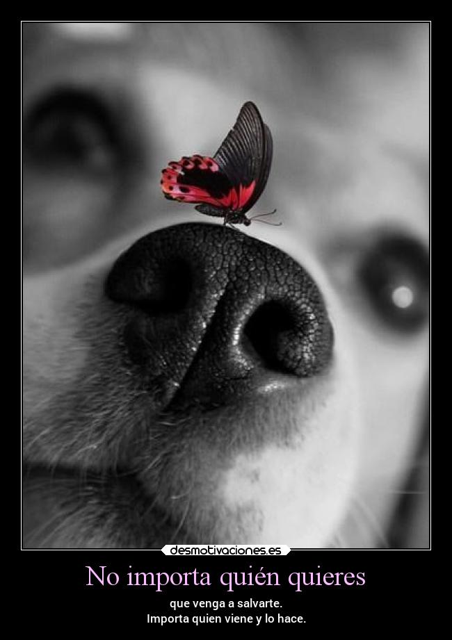 No importa quién quieres -