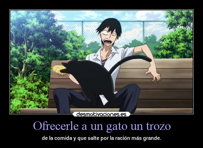 carteles gatos animales anime comida desmotivaciones