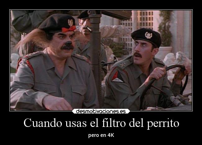 Cuando usas el filtro del perrito -