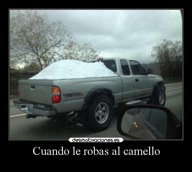 Cuando le robas al camello - 